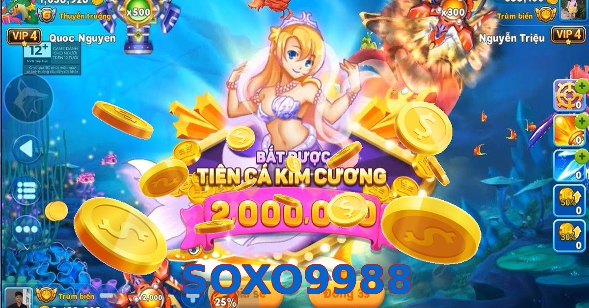 SOXO9988