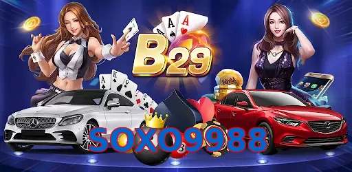 SOXO9988
