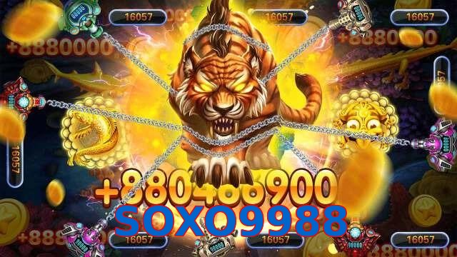 SOXO9988
