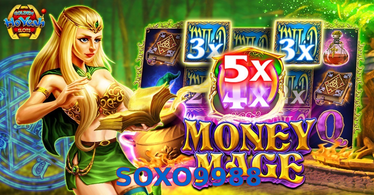 SOXO9988