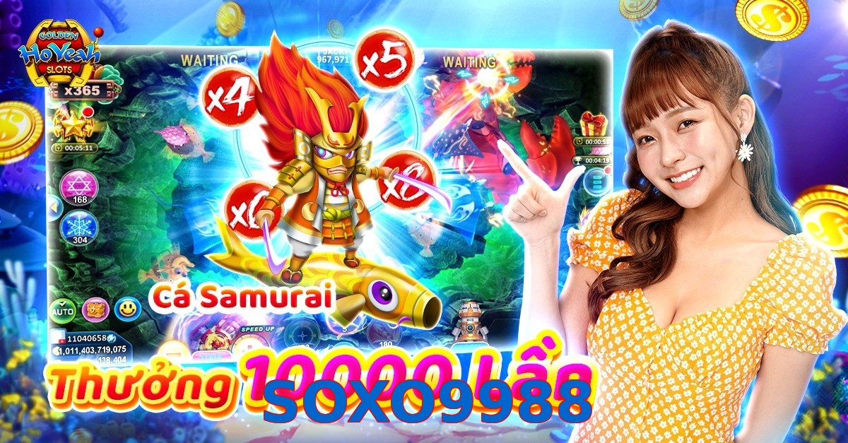 SOXO9988