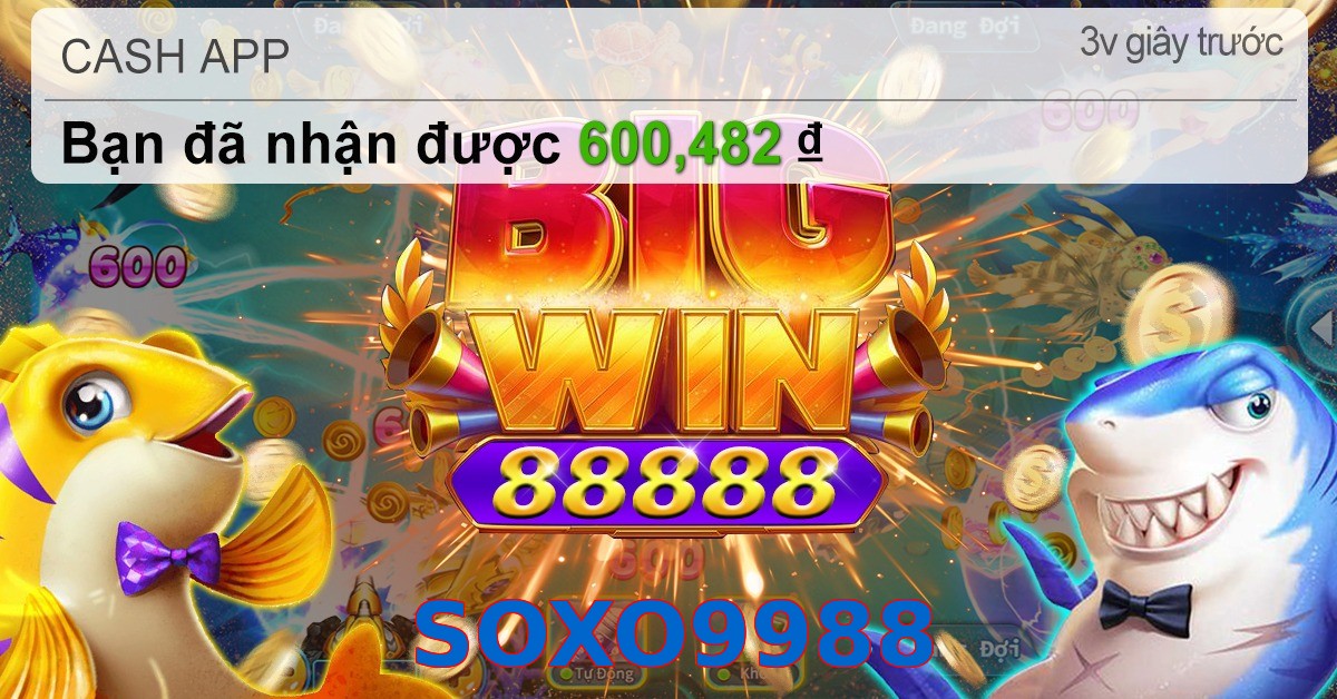 SOXO9988