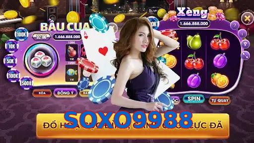 SOXO9988