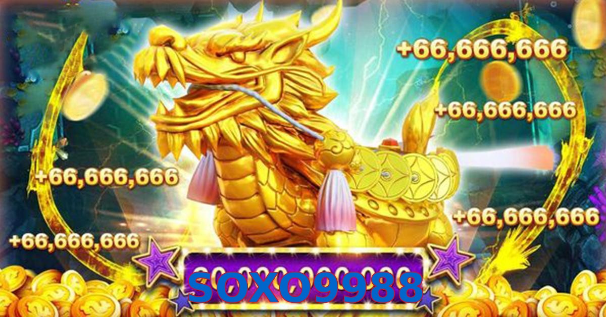 SOXO9988