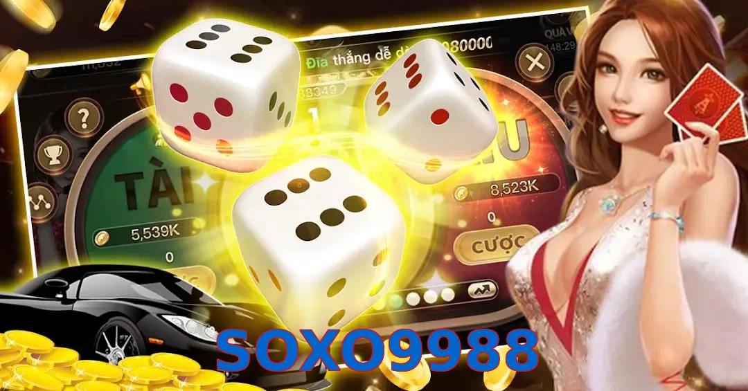 SOXO9988