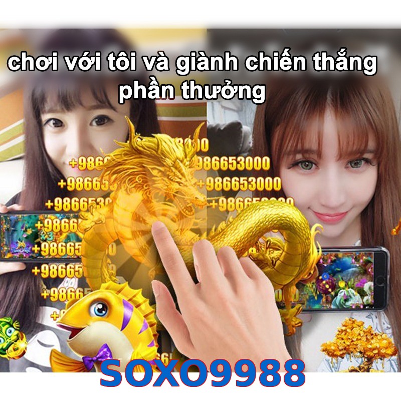 SOXO9988